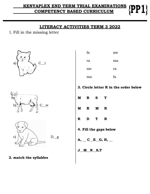 Preview page PP1-Literacy-Activities-End-of-Term-3-Examination-2022_1104_0.jpg