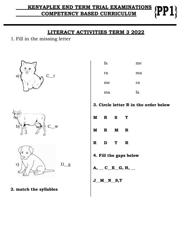 PP1-Literacy-Activities-End-of-Term-3-Examination-2022_1104_0.jpg