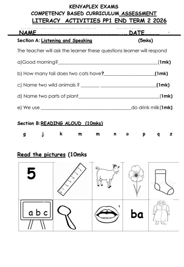 Preview page PP1-Literacy-Activities-July-Assessment-Examination-2026_6358_0.jpg