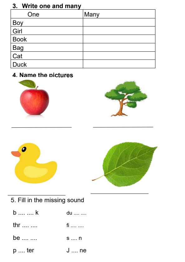 Preview page PP2-End-of-May-Assessment-Tests-2024--Set_2579_1.jpg