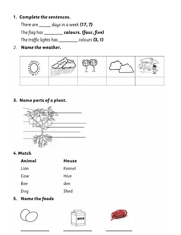 Preview page PP2-Environmental-Activities-Term-3-Opener-Exam-2025_4468_1.jpg