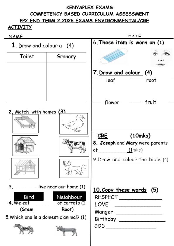 Preview page PP2-Environmental-and-CRE-Activity-July-Asessment-Examination-2026_6301_0.jpg