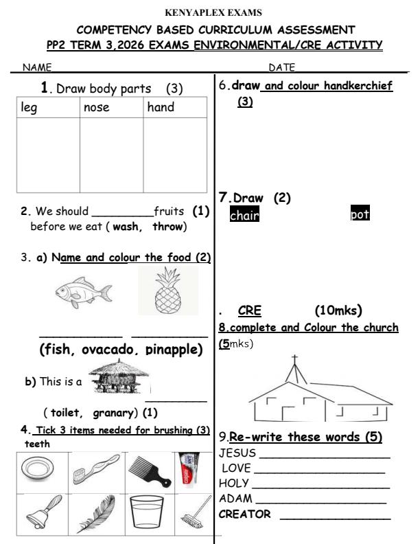 Preview page PP2-Environmental-and-CRE-Activity-September-Assessment-Examination-2026_6683_0.jpg