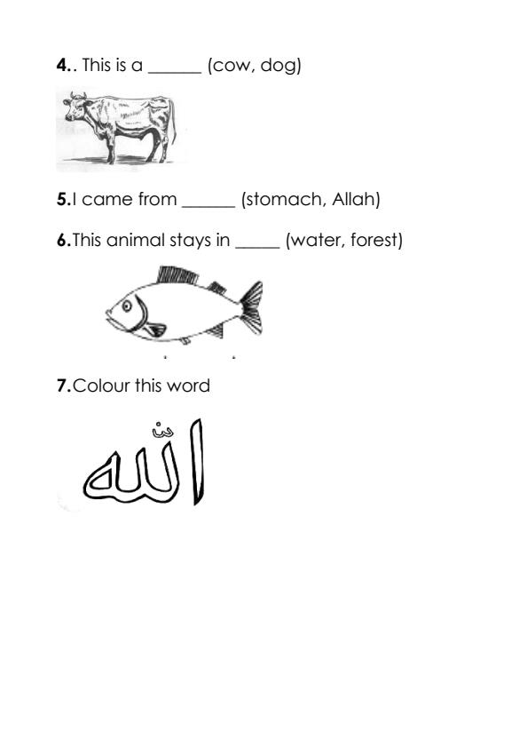 Preview page PP2-IRE-Activities-Mid-Term-2-Exam-2024_2622_1.jpg