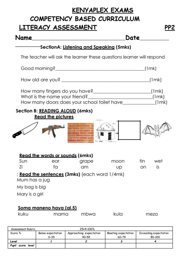 Preview page PP2-Literacy-Activities-End-of-Term-1-Examination-2025_3747_0.jpg