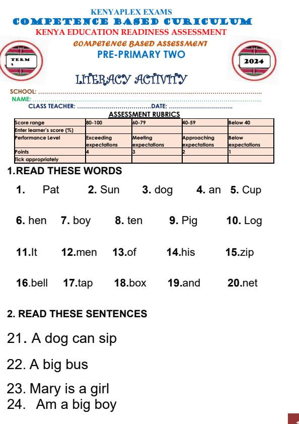 Preview page PP2-Literacy-Activities-Mid-Term-3-Exam-2024_3142_0.jpg