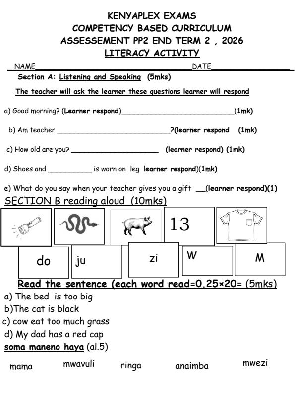 Preview page PP2-Literacy-Activity-July-Assessment-Examination-2026_6303_0.jpg