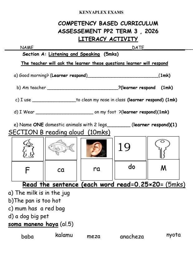 Preview page PP2-Literacy-Activity-September-Assessment-Examination-2026_6685_0.jpg