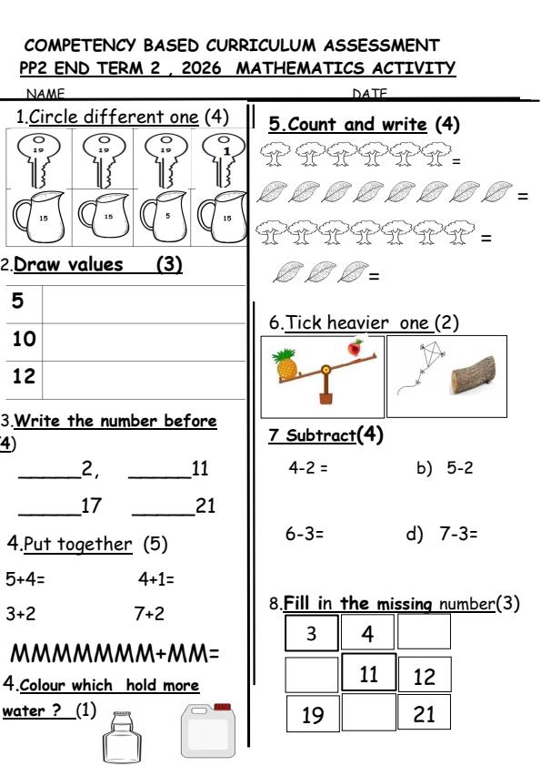 Preview page PP2-Mathematics-Activity-July-Assessment-Examination-2026_6304_0.jpg