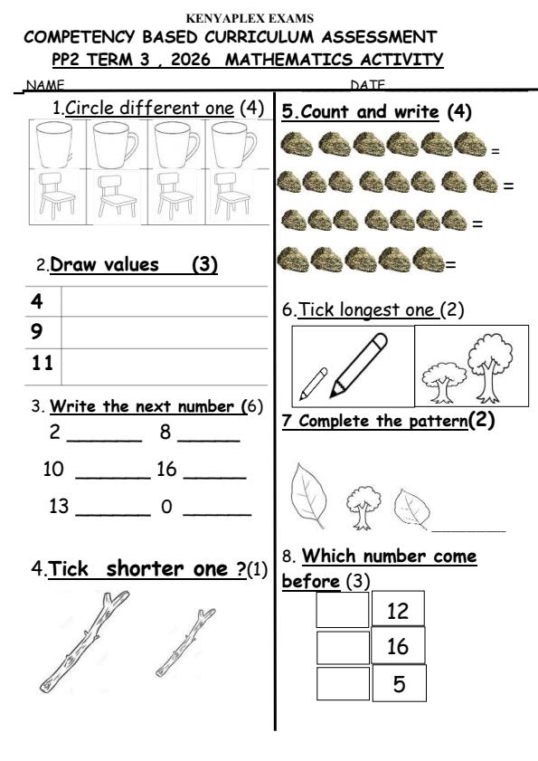 Preview page PP2-Mathematics-Activity-September-Assessment-Examination-2026_6686_0.jpg
