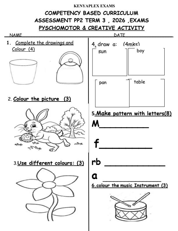 Preview page PP2-Psychomotor--Creative-Activity-September-Assessment-Examination-2026_6687_0.jpg