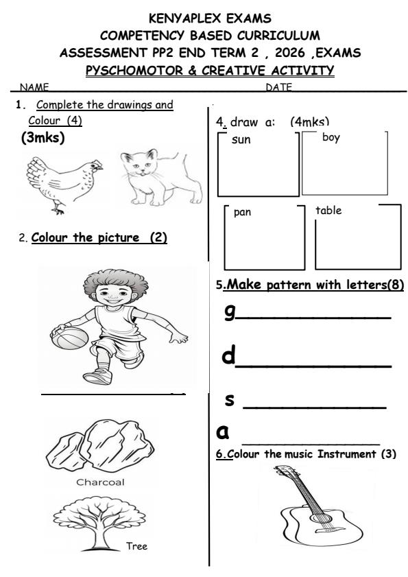 Preview page PP2-Psychomotor-Creative-Activity-July-Assessment-Examination-2026_6305_0.jpg