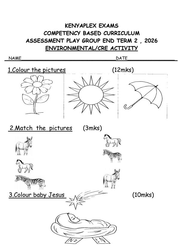 Preview page Playgroup-Environmental-CRE-Activity-July-Assessment-Examination-2026_6309_0.jpg