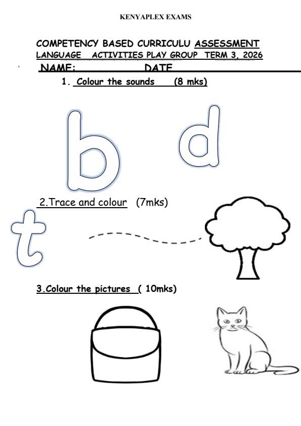 Preview page Playgroup-Language-Activities-September-Assessment-Examination-2026_6676_0.jpg