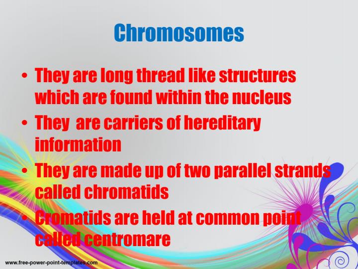 Page 5 – Form 3 Biology: Reproduction in Plants and Animals - Cell Division Notes in PowerPoint – Kenyaplex