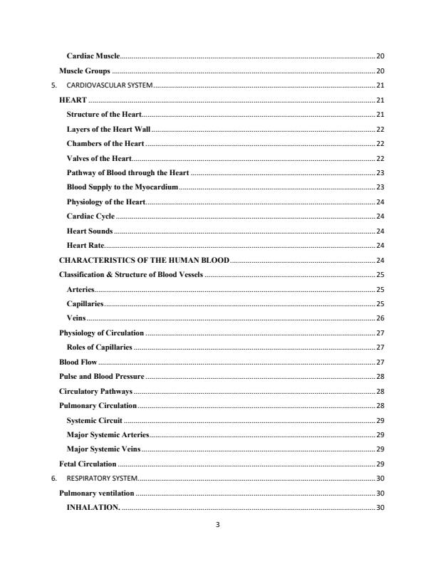 Page 3 – Human Anatomy and Physiology Notes – Kenyaplex