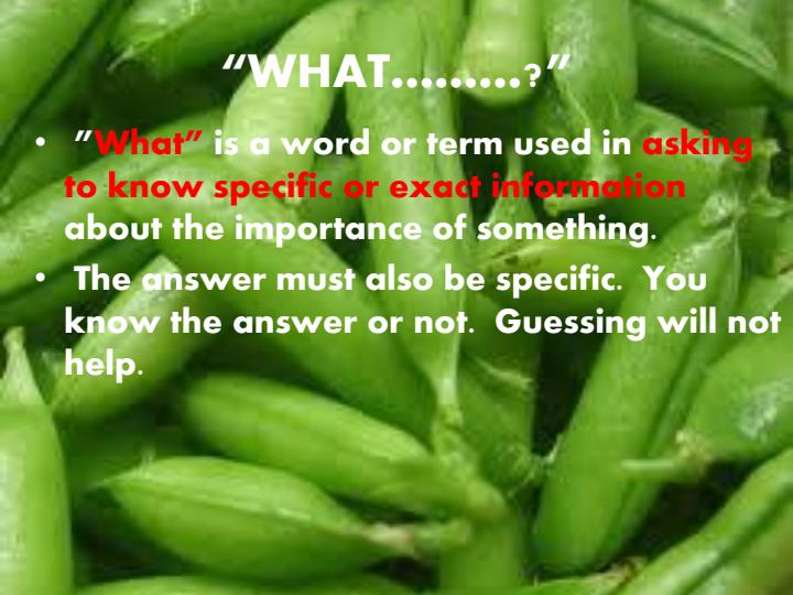 Page 1 – Common terms used in setting Biology questions – Kenyaplex