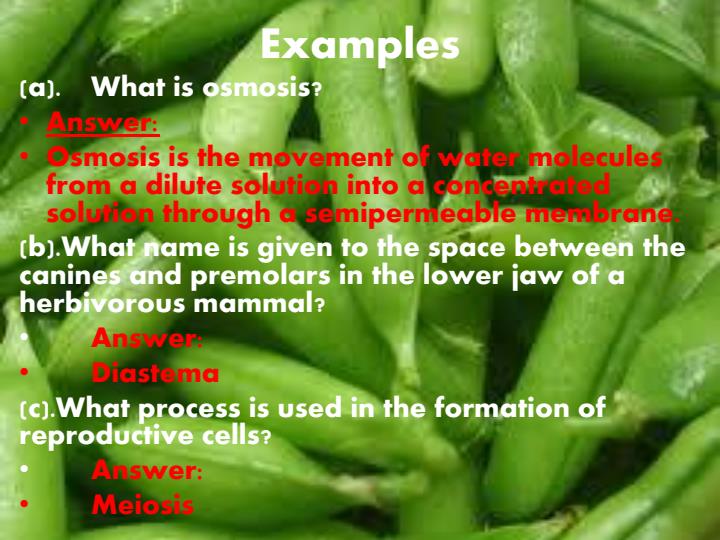 Page 2 – Common terms used in setting Biology questions – Kenyaplex