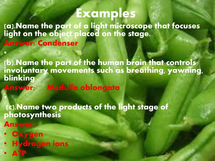 Page 4 – Common terms used in setting Biology questions – Kenyaplex