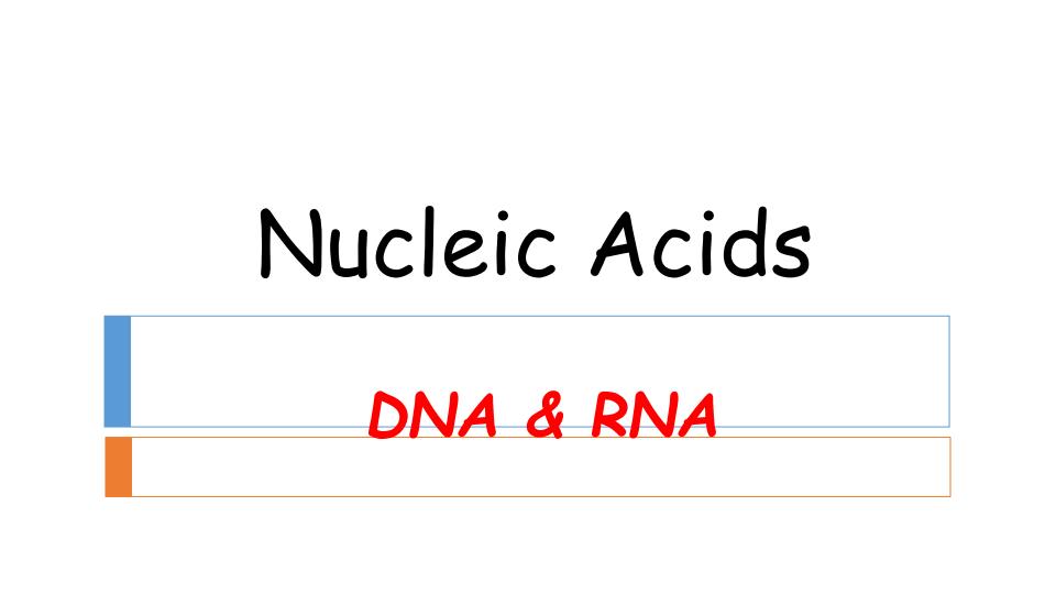 Page 1 – KMTC: Basic Biochemistry Notes – Kenyaplex