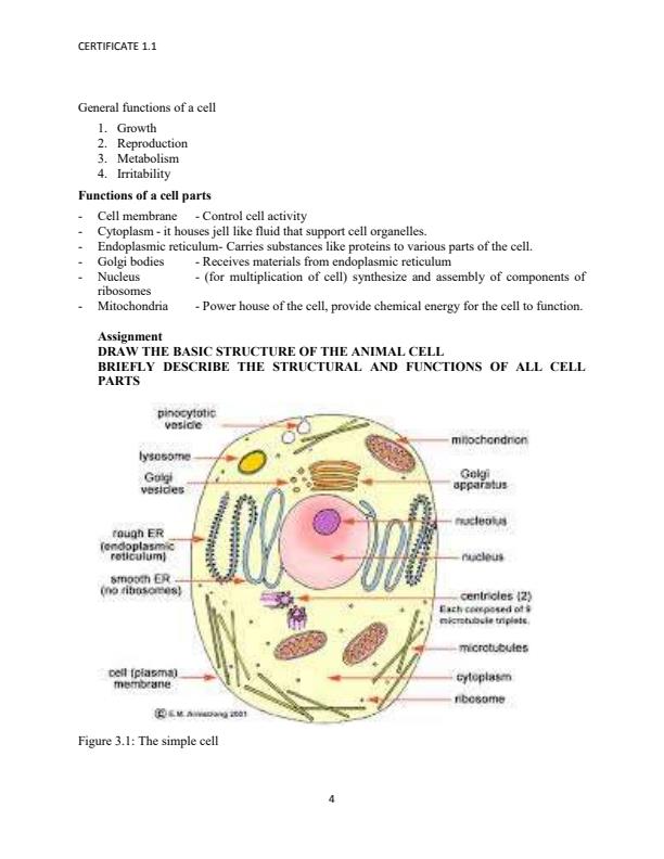 Page 4 – PEG 2001: Anatomy and physiology Notes 1st Year 1st semester – Kenyaplex