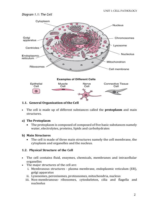 Page 2 – Cell Pathology Notes – Kenyaplex