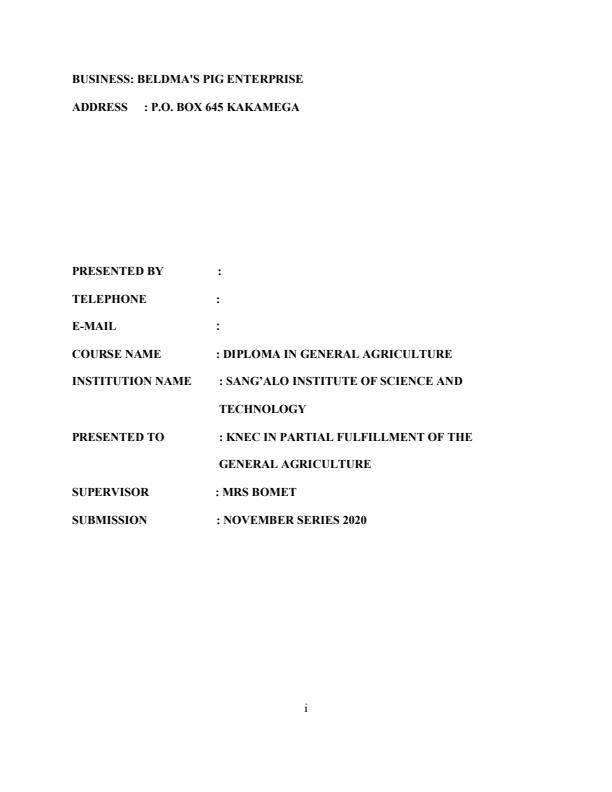 Page 1 – Sample Pig Production Business Plan – Kenyaplex