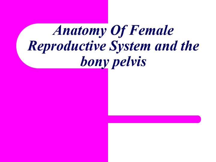 Page 1 – Anatomy of Female Reproductive System Notes – Kenyaplex