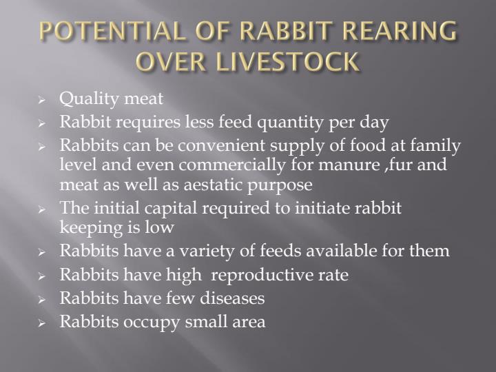 Page 3 – Rabbit Production PowerPoint Notes – Kenyaplex