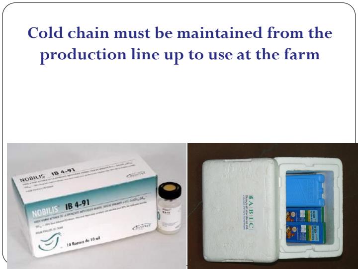 Page 2 – Chicken Disease Management Notes – Kenyaplex