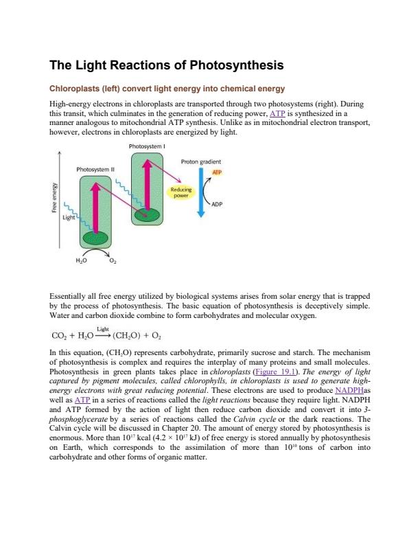 Page 1 – AAG 203: Plant Biochemistry Notes – Kenyaplex