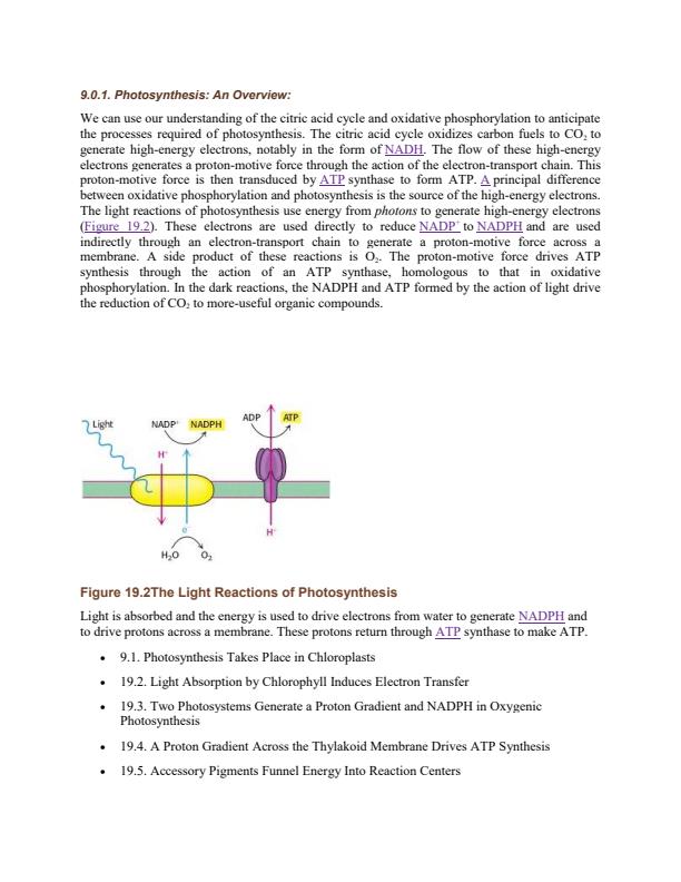 Page 2 – AAG 203: Plant Biochemistry Notes – Kenyaplex