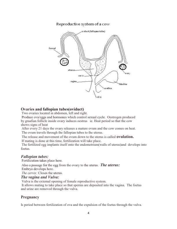 Page 4 – Form 3 Agriculture Notes – Kenyaplex