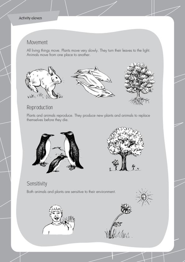 Page 1 – ZOOL 104 Notes on Similarities between plants and animals  – Kenyaplex