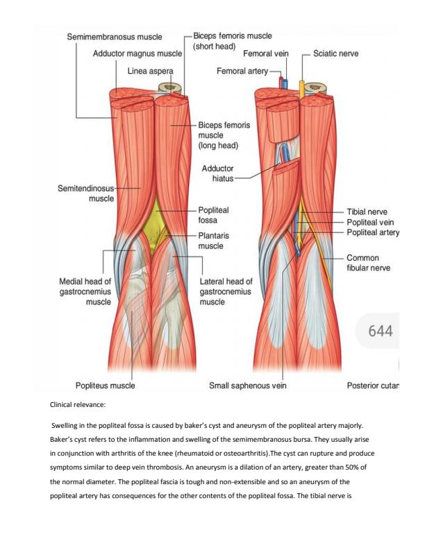 Page 2 – Embryology sample questions and answers – Kenyaplex