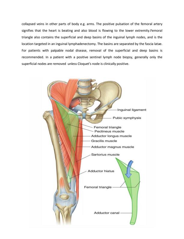 Page 4 – Embryology sample questions and answers – Kenyaplex