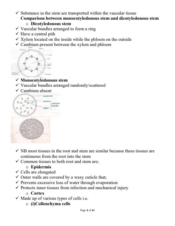 Page 4 – Form 2 Biology Notes on Transport in Plants and Animals – Kenyaplex