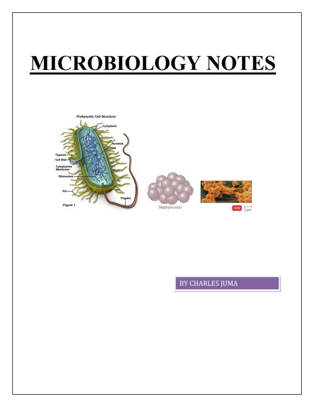 Page 1 – Microbiology Notes – Kenyaplex