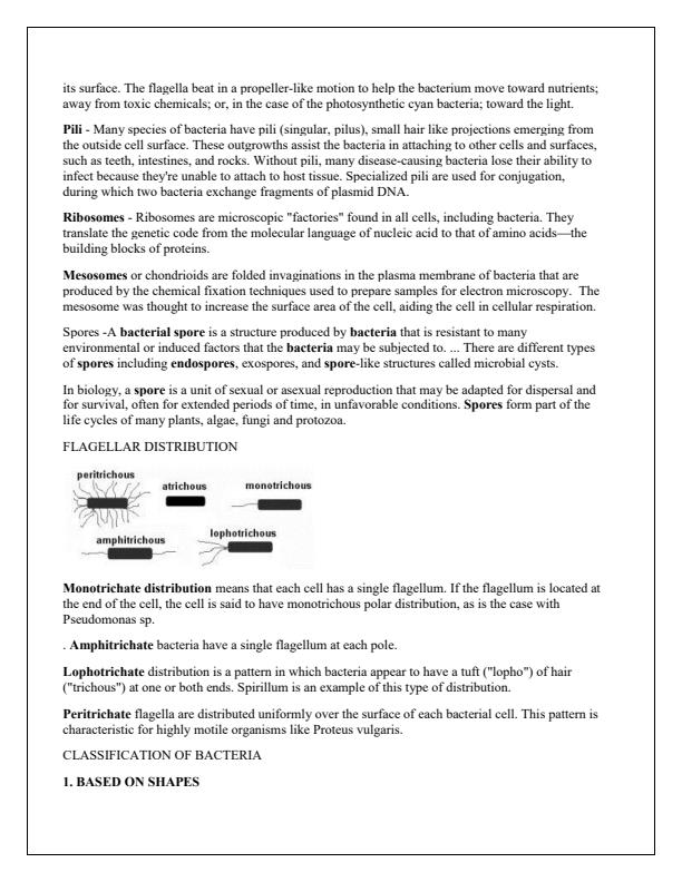 Page 3 – Microbiology Notes – Kenyaplex