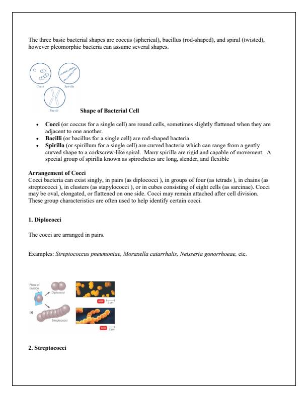 Page 4 – Microbiology Notes – Kenyaplex