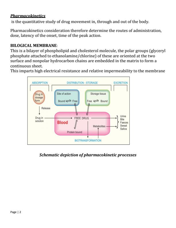 Page 1 – Pharmacokinetics Notes: Membrane Transport, Absorption and Distribution of Drugs Notes – Kenyaplex