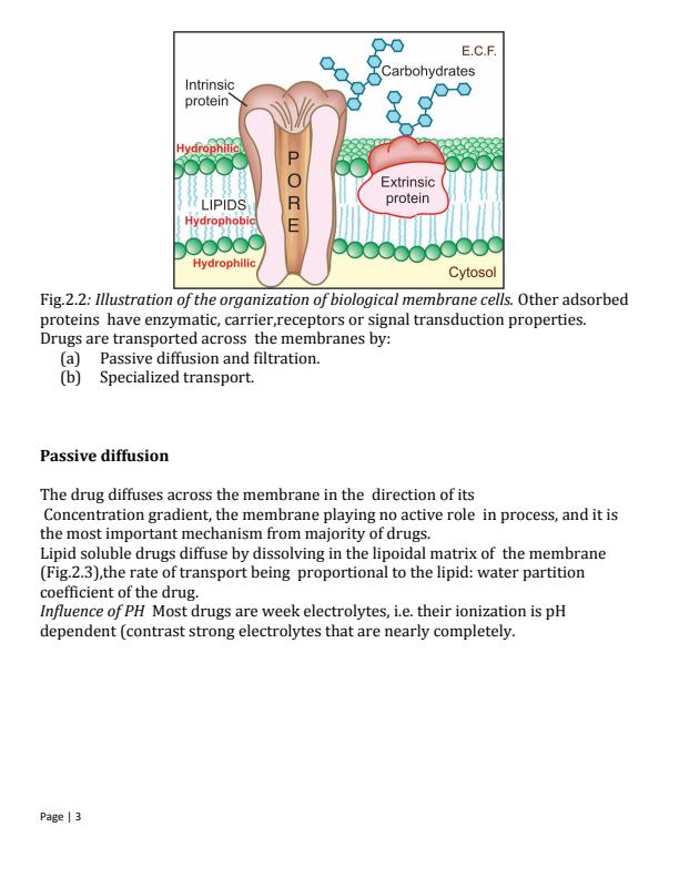 Page 2 – Pharmacokinetics Notes: Membrane Transport, Absorption and Distribution of Drugs Notes – Kenyaplex