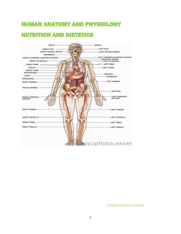 Page 1 – Human Anatomy and Physiology Notes: Diploma in Nutrition and Dietetics – Kenyaplex