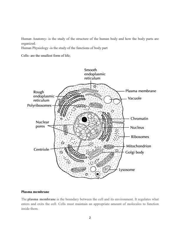 Page 2 – Human Anatomy and Physiology Notes: Diploma in Nutrition and Dietetics – Kenyaplex