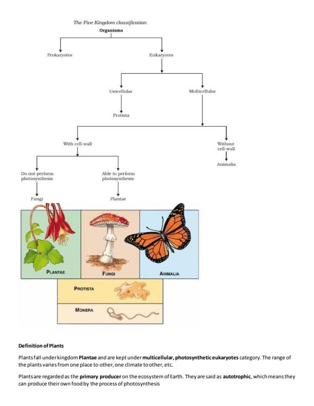 Page 4 –  Biology Techniques 1 Notes – Kenyaplex