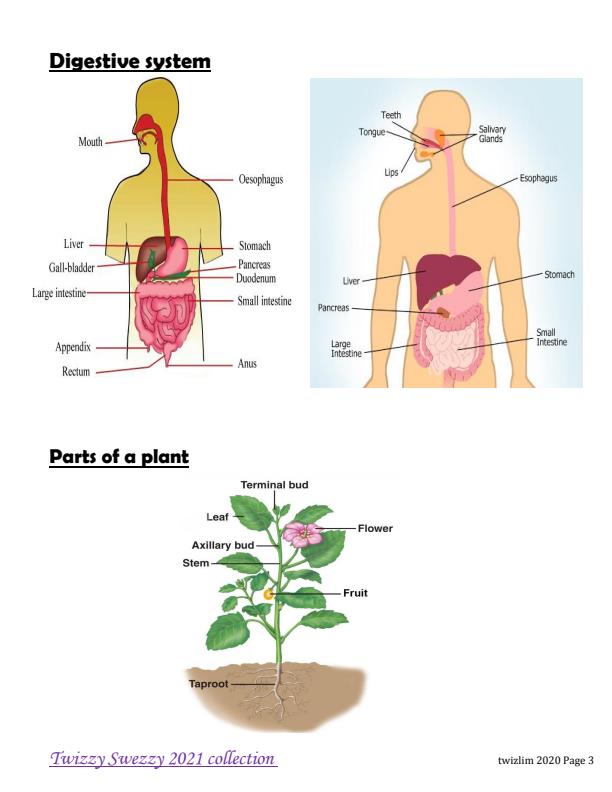 Page 2 – Upper Primary Science Diagrams – Kenyaplex