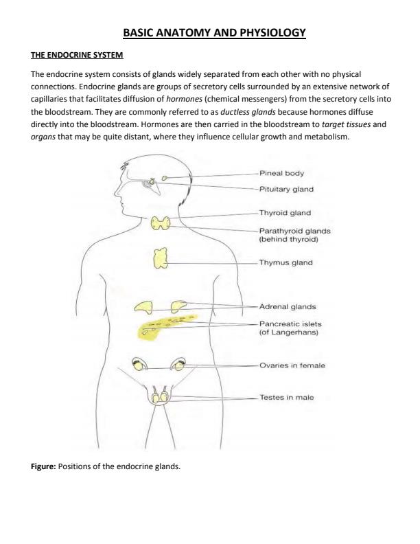 Page 1 – Basic Anatomy and Physiology Notes – Kenyaplex