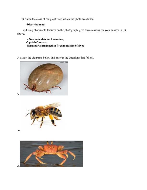Page 2 – Biology Classification II Topical Questions and Answers – Kenyaplex