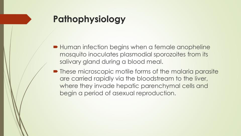 Page 4 – Diploma in Clinical Medicine and Surgery on Malaria – Kenyaplex