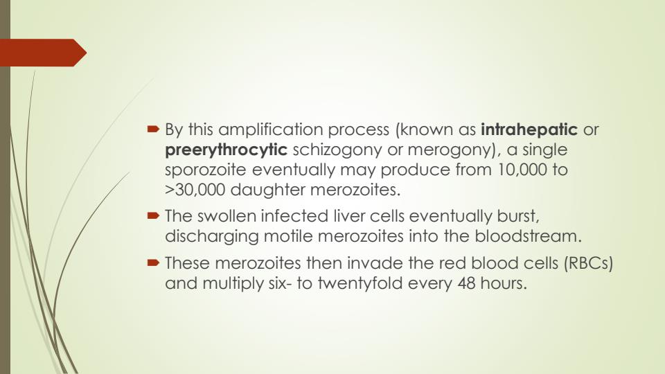 Page 5 – Diploma in Clinical Medicine and Surgery on Malaria – Kenyaplex